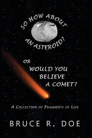 Kniha So How about an Asteroid? or Would You Believe a Comet?: A Collection of Fragments of Life Bruce R Doe