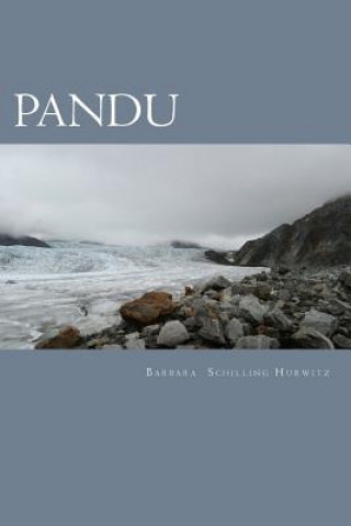 Knjiga Pandu Barbara Hurwitz