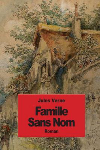 Könyv Famille Sans Nom Jules Verne