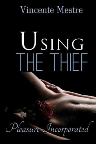 Knjiga Using The Thief Vincente Mestre