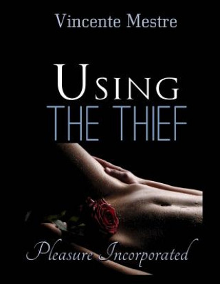 Knjiga Using the Thief: Large Print Vicente Mestre