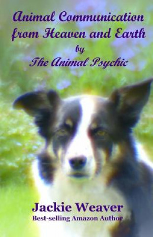 Kniha Animal Communication from Heaven and Earth: by The Animal Psychic Jackie Weaver