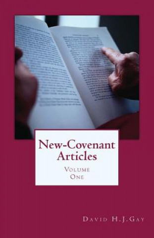 Könyv New-Covenant Articles: Volume One David H J Gay