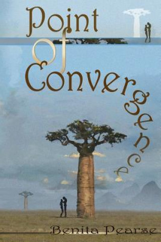 Boek Point of Convergence Benita Pearse