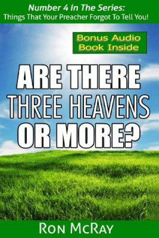 Kniha Are There Three Heavens... Or More? Ron McRay