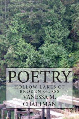 Buch Poetry: Hollow Lakes of Broken Glass Vanessa M Chattman