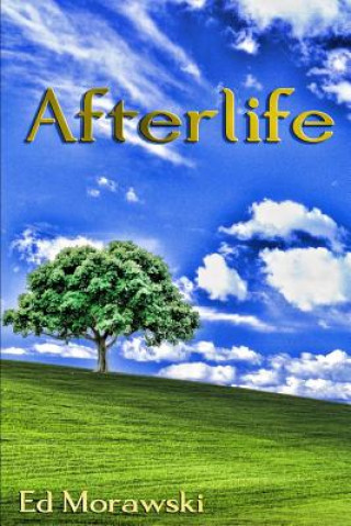 Book Afterlife Ed Morawski