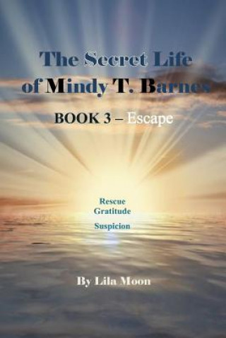 Kniha The Secret Life of Mindy T. Barnes - Book 3 - Escape: Rescue, Gratitude, Suspicon Lila Moon