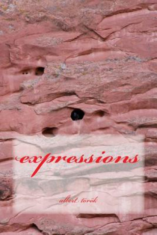 Książka expressions Albert Torok