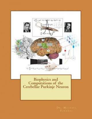 Kniha Biophysics and Computations of the Cerebellar Purkinje Neuron Dr Michael D Forrest