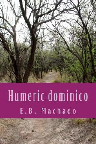 Carte Humeric dominico: un viaje hacia el perdon E B Machado