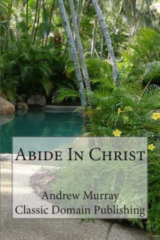 Könyv Abide In Christ Andrew Murray