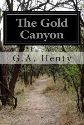 Kniha The Gold Canyon G. A. Henty