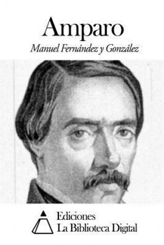 Книга Amparo Manuel Fernandez y Gonzalez