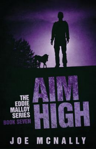 Книга Aim High MR Joe McNally