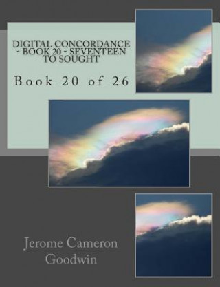 Knjiga Digital Concordance - Book 20 - Seventeen To Sought: Book 20 of 26 MR Jerome Cameron Goodwin