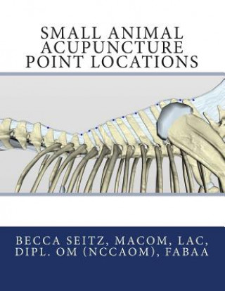 Książka Small Animal Acupuncture Point Locations Becca Seitz Lac