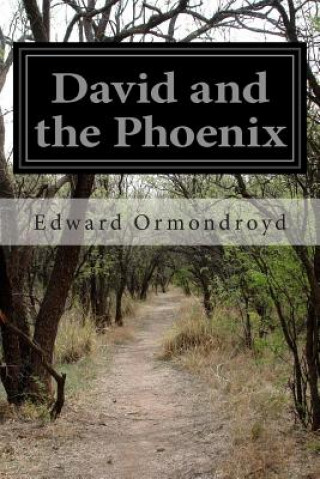 Carte David and the Phoenix Edward Ormondroyd
