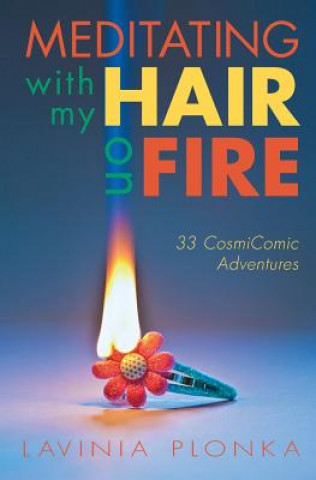 Kniha Meditating With My Hair On Fire Lavinia Plonka