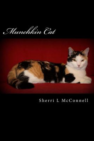 Kniha Munchkin Cat Sherri L McConnell