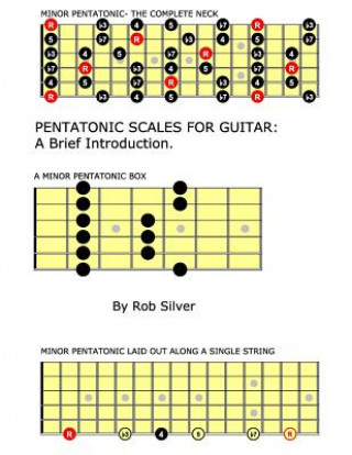 Könyv Pentatonic Scales For Guitar: A Brief Introduction. Rob Silver