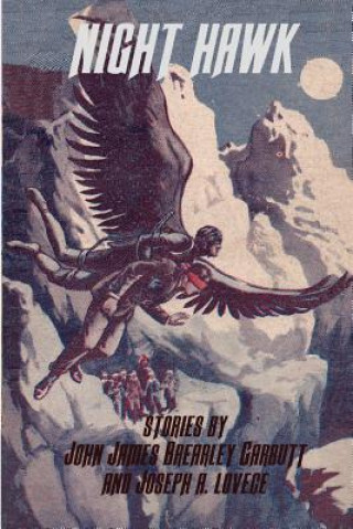 Knjiga Night Hawk John James Beardley Garbutt