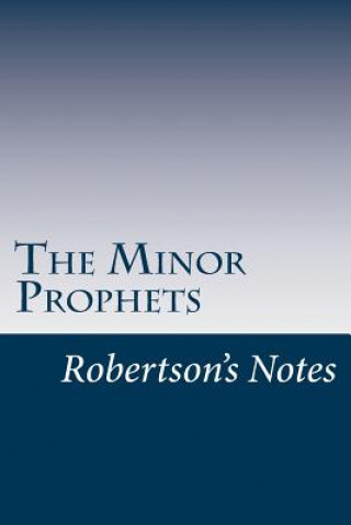 Kniha The Minor Prophets John Robertson