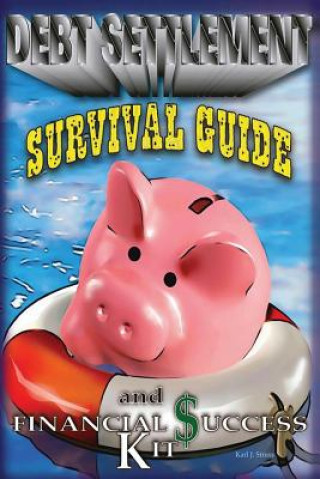 Buch A Debt Settlement Survival Guide & Financial Success Kit. MR Karl J Struss