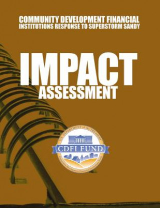 Carte Community Development Financial Institutions Response to Superstorm Sandy Impact Assessment U S Department of the Treasury