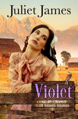 Książka Violet - Book 3 Come By Chance Mail Order Brides Juliet James