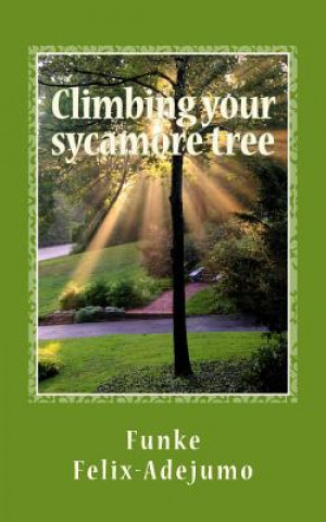 Kniha Climbing your sycamore tree: Nurturing your relationships Funke Felix-Adejumo