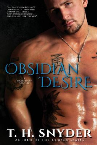 Kniha Obsidian Desire: A Short Story Novella T H Snyder