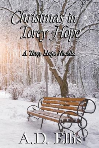 Könyv Christmas in Torey Hope: A Novella A D Ellis