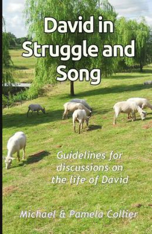 Kniha David in Struggle and Song: Guidelines for discussions on the life of David (black & white version) Michael Collier