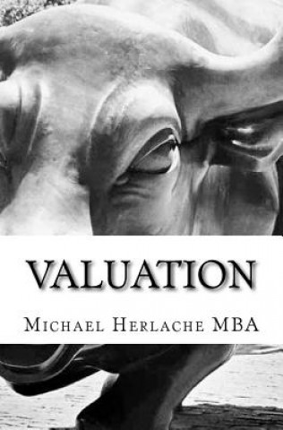 Livre Valuation Michael Herlache