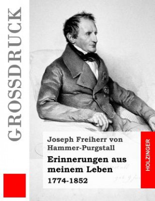 Kniha Erinnerungen aus meinem Leben (Großdruck): 1774-1852 Joseph Freiherr Von Hammer-Purgstall