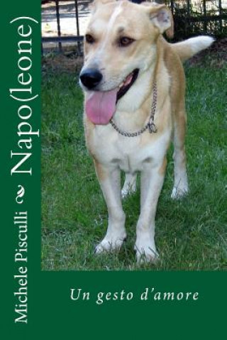 Boek Napo(leone) Dr Michele Pisculli