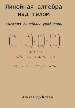 Könyv Linear Algebra Over Division Ring (Russian Edition): System of Linear Equations Aleks Kleyn