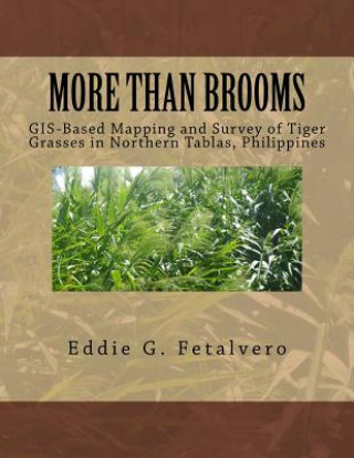 Livre More than Brooms: : GIS-Based Mapping and Survey of Tiger Grasses in Northern Tablas, Philippines Eddie G Fetalvero