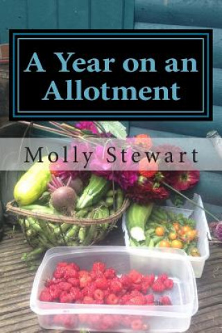 Kniha A Year on an Allotment Molly Stewart