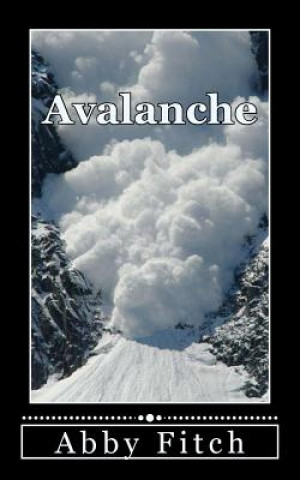 Книга Avalanche Abby Fitch