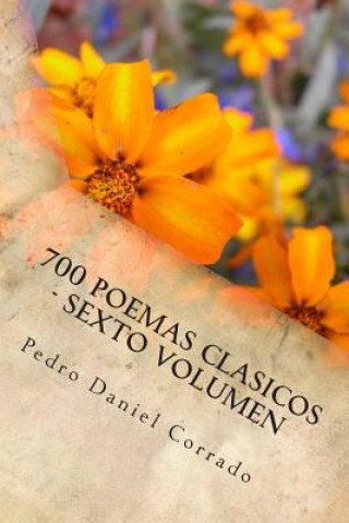 Kniha 700 Poemas Clasicos - Sexto Volumen MR Pedro Daniel Corrado