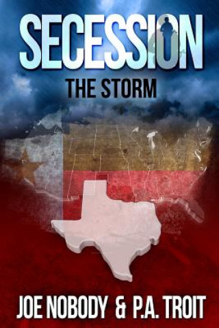 Knjiga Secession: The Storm Joe Nobody