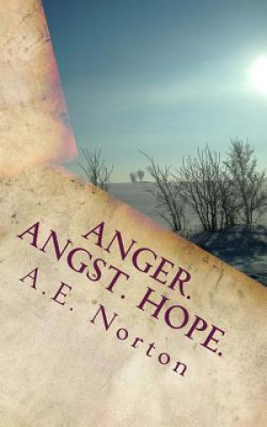 Buch Anger. Angst. Hope. A E Norton