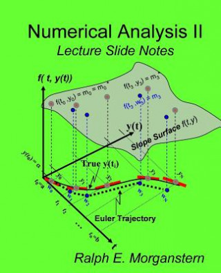 Buch Numerical Analysis II: Lecture Slide Notes Ralph E Morganstern