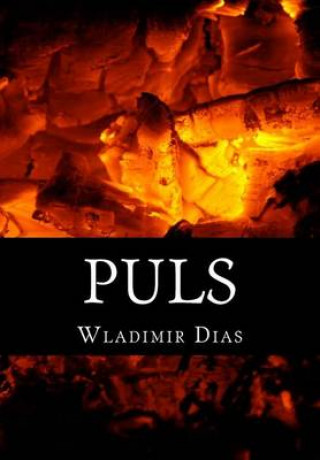 Könyv Puls: En reise inn i ukjent Wladimir Moreira Dias
