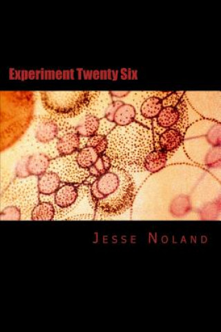 Kniha Experiment Twenty Six Jesse Davis Noland