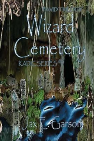 Książka Wizard Cemetery: Pavid Trilogy Jax E Garson