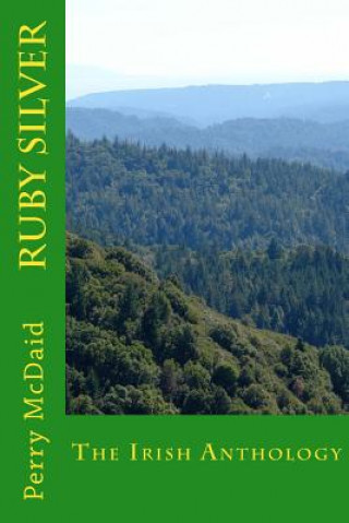 Knjiga Ruby Silver: Second Edition (2014 [2009]) Perry McDaid