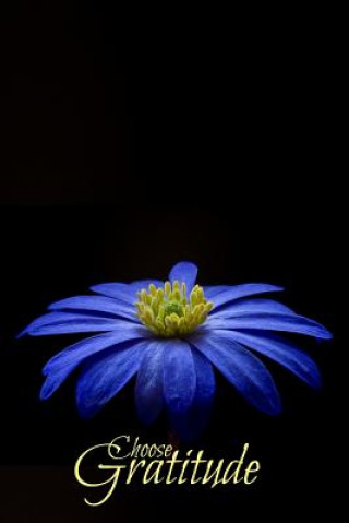 Knjiga Choose Gratitude James Allen Proctor